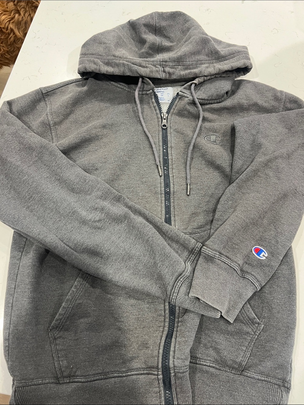 Champion Men's Gray Zip-Up Hooded Sweatshirt